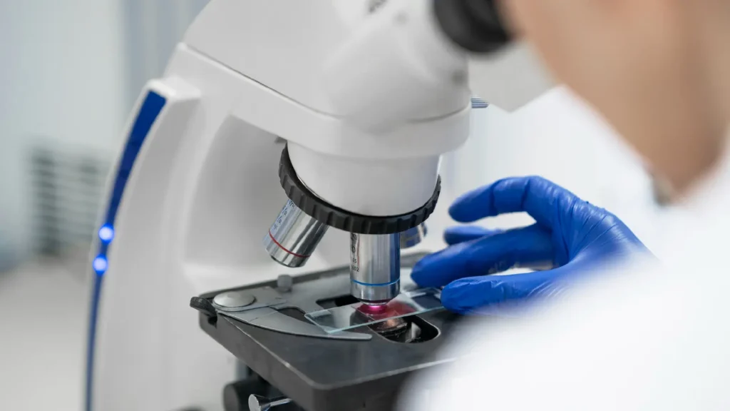 Botulismo cos’è, dove si nasconde e come prevenirlo a tavola 2