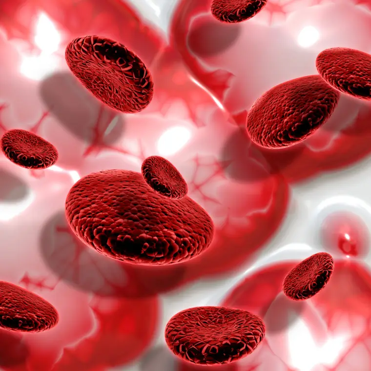Iposideremia e anemia sideropenica 2